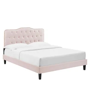 Amber Performance Velvet Queen Platform Bed By Modway - MOD-6777 - Pink