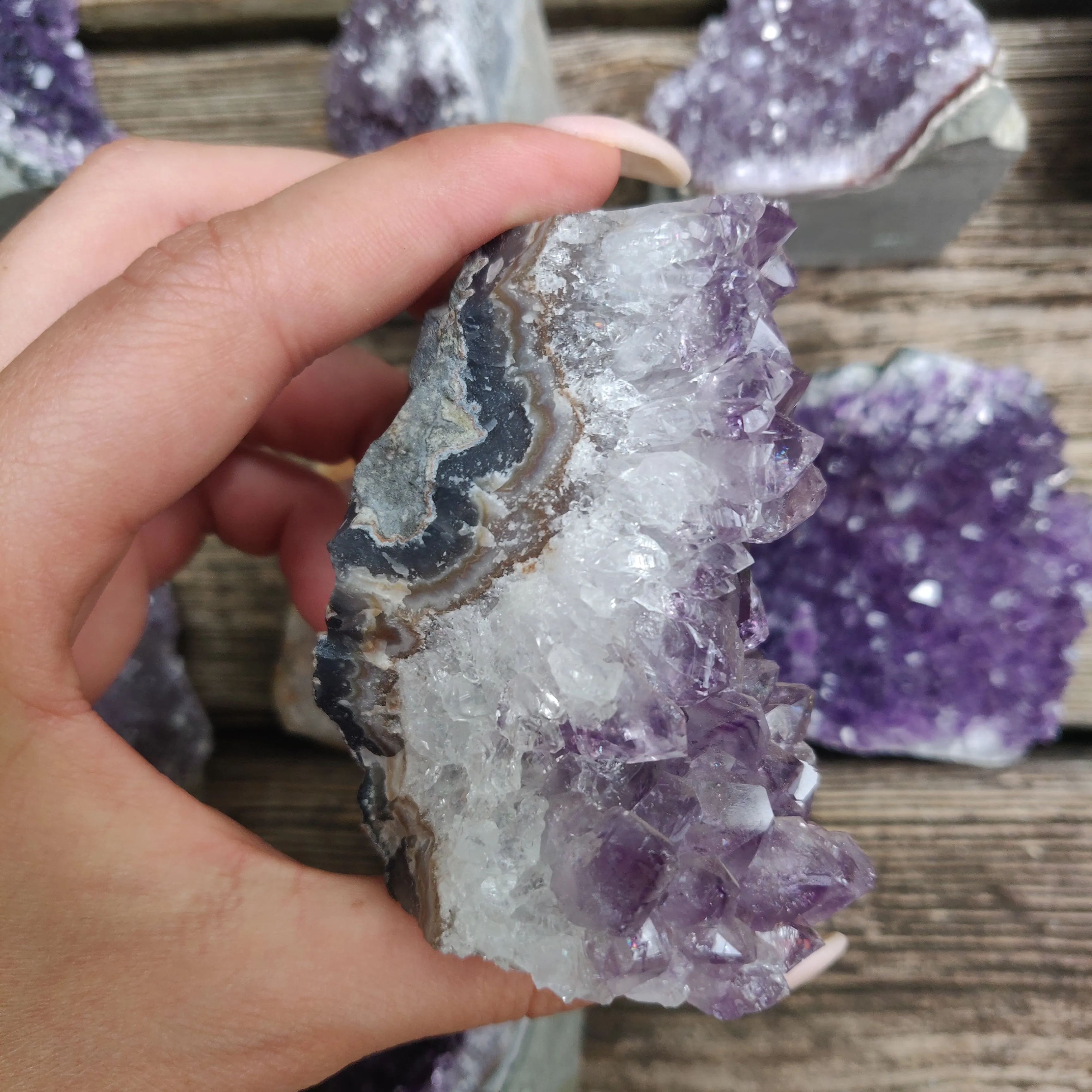 Amethyst Geode Free Form, Cut Base (#17)