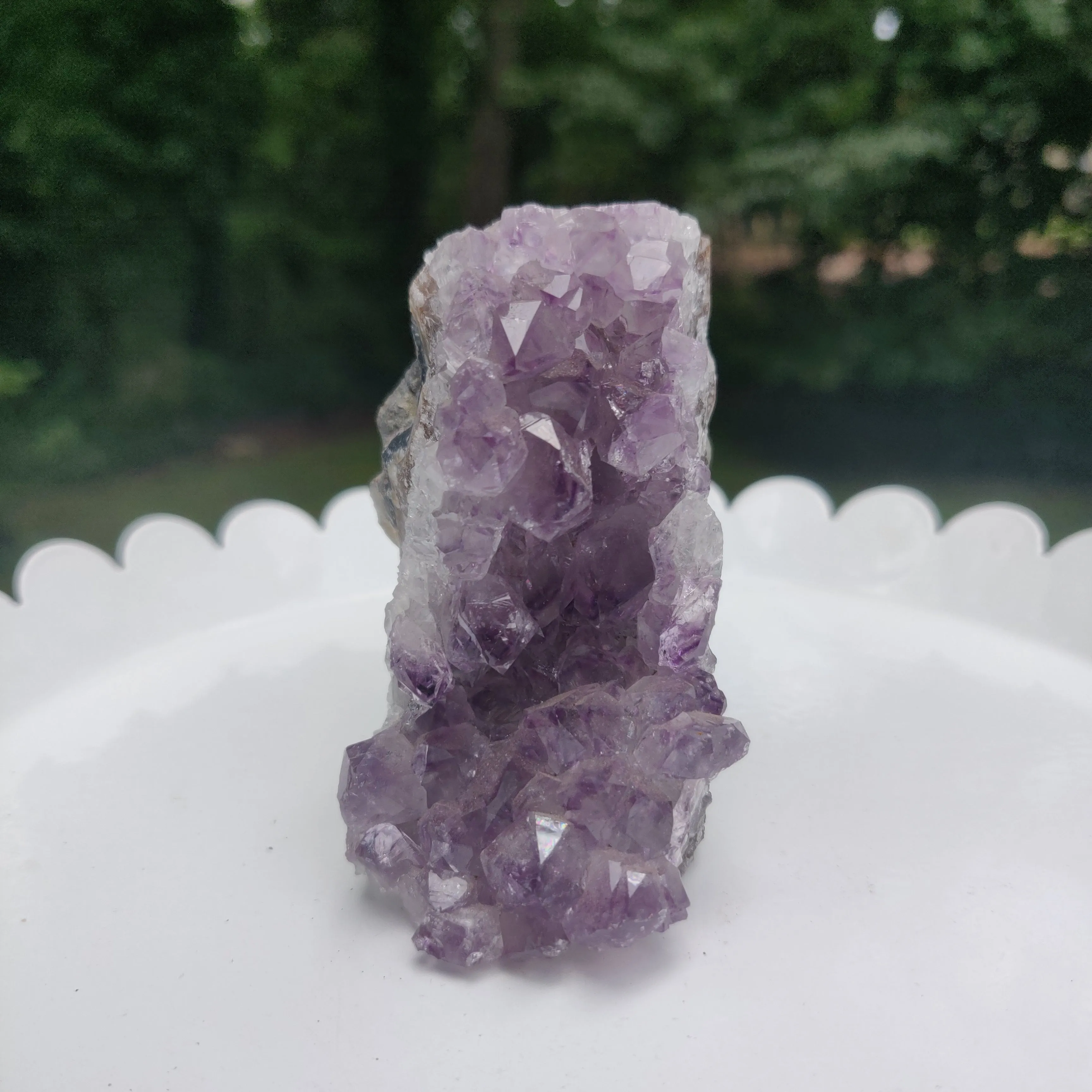 Amethyst Geode Free Form, Cut Base (#17)