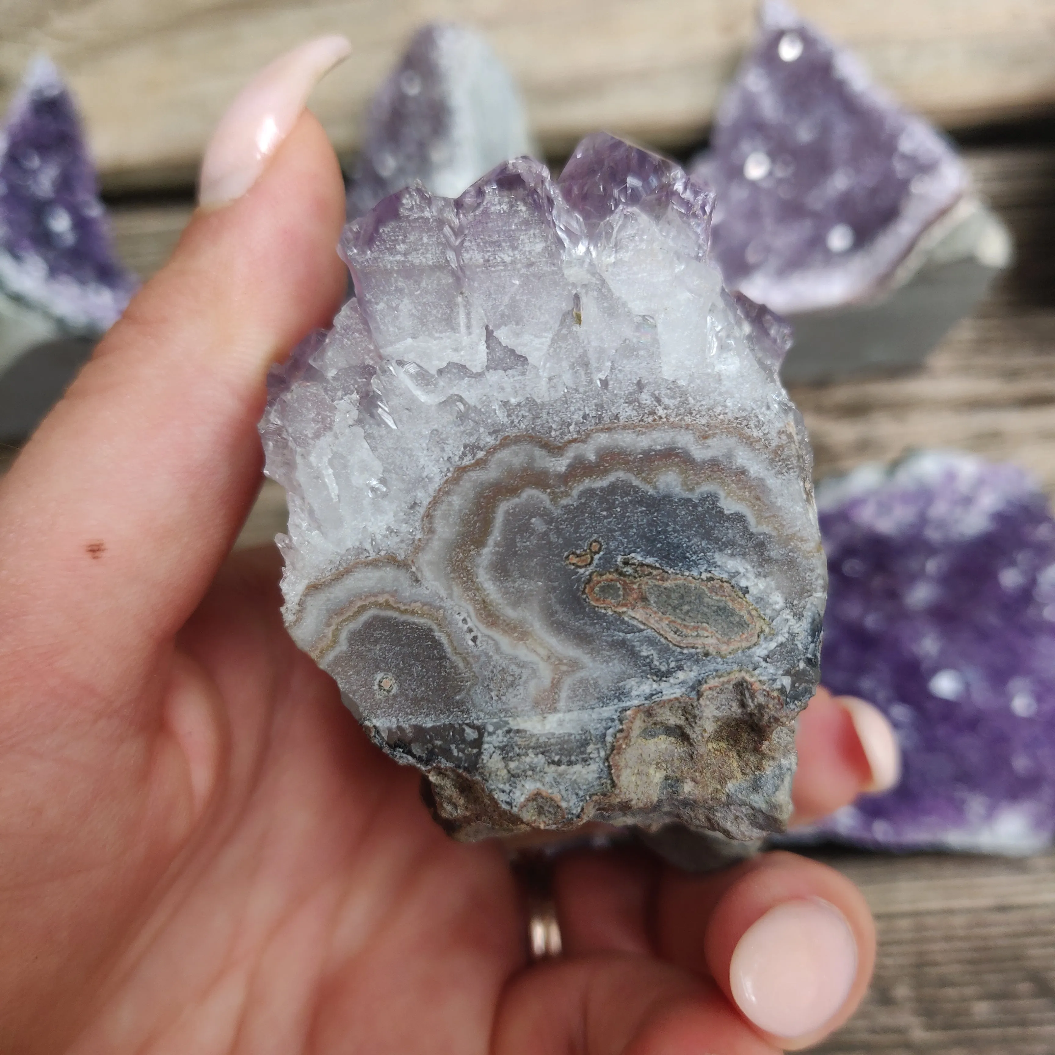 Amethyst Geode Free Form, Cut Base (#17)