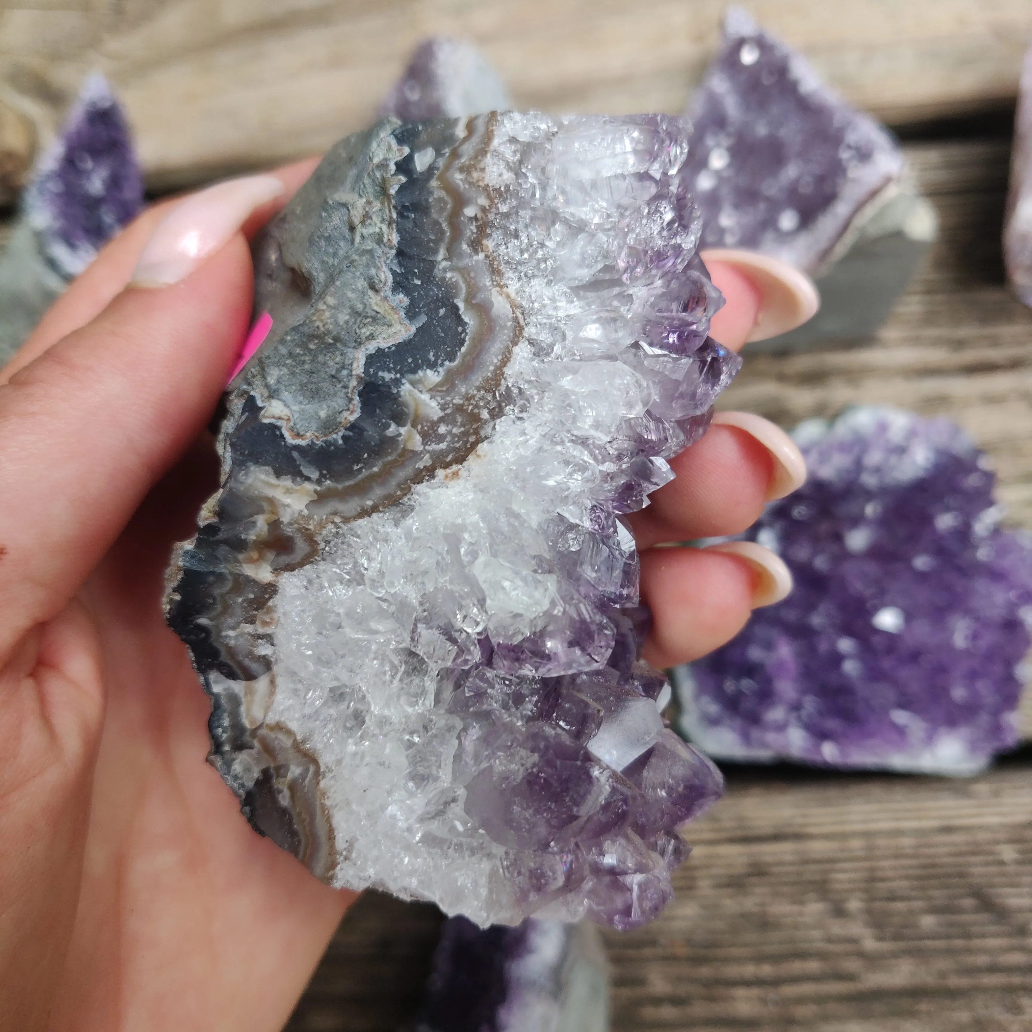 Amethyst Geode Free Form, Cut Base (#17)