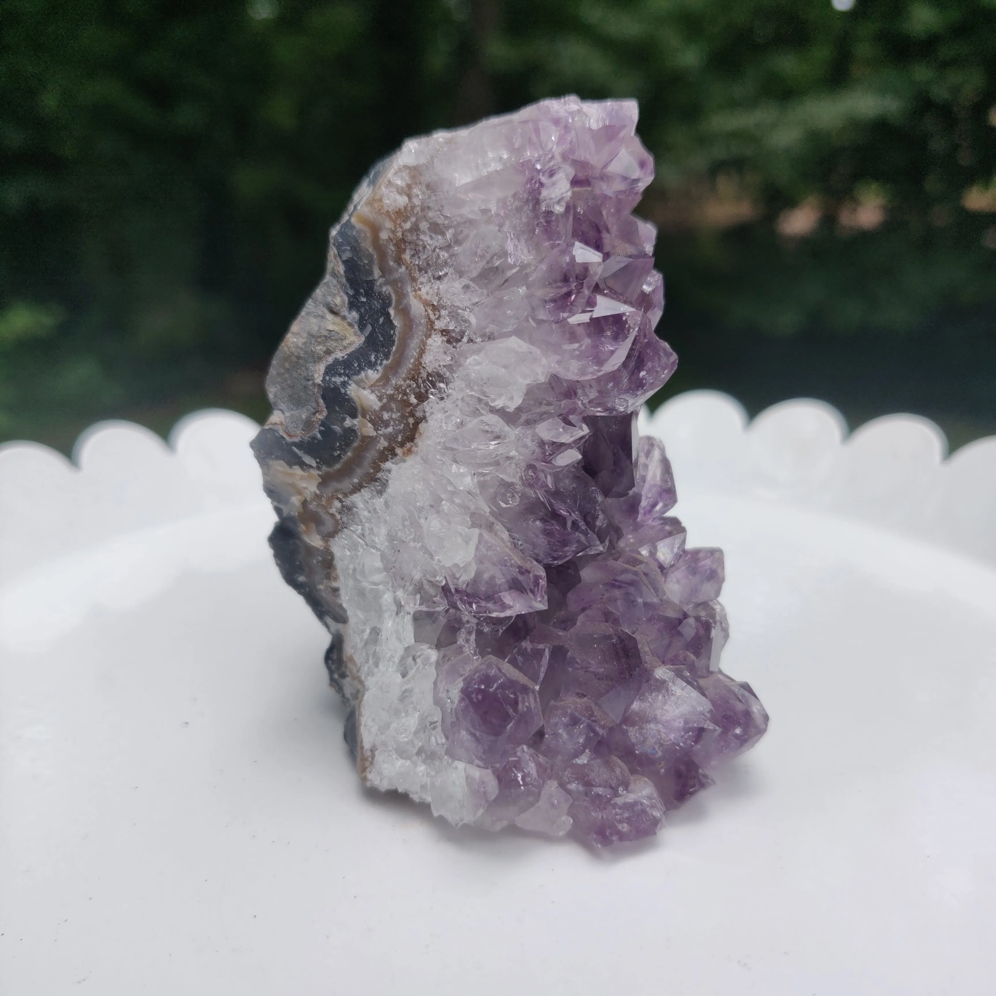 Amethyst Geode Free Form, Cut Base (#17)