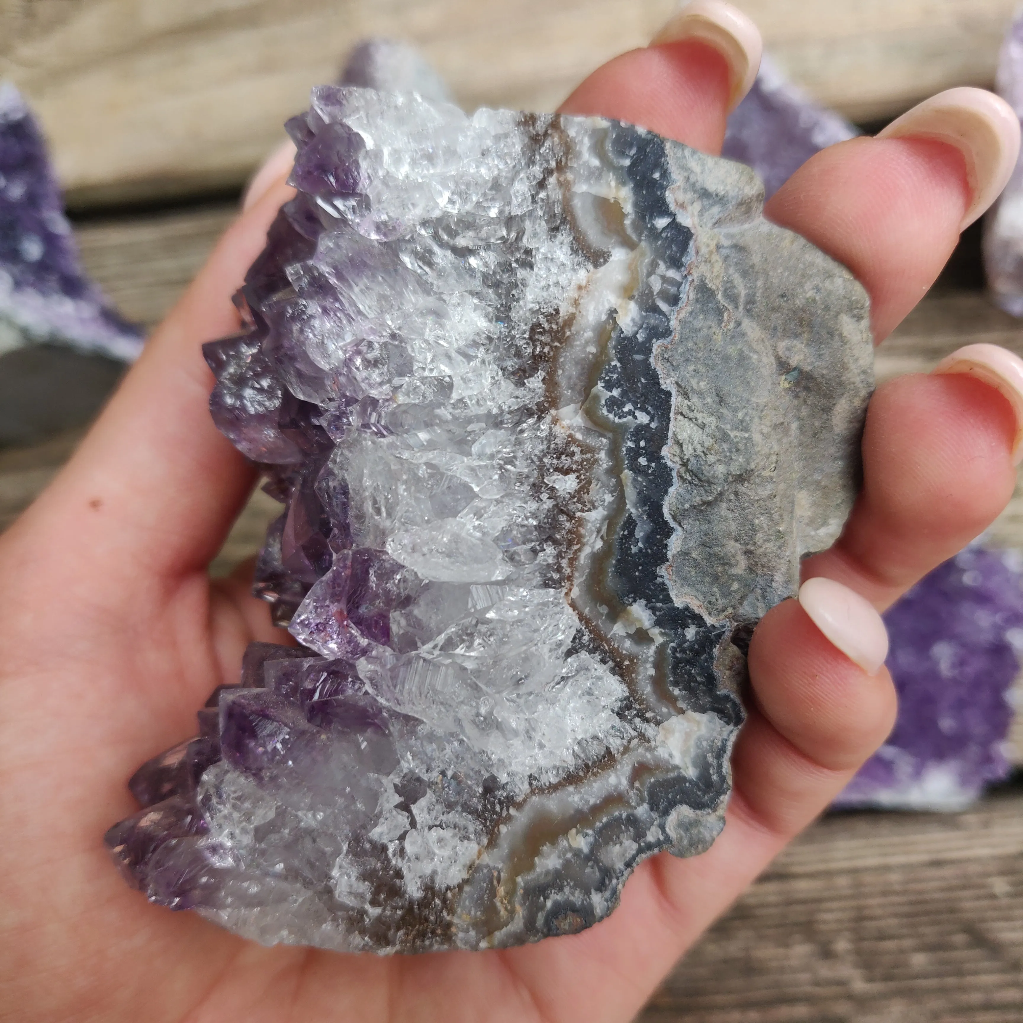 Amethyst Geode Free Form, Cut Base (#17)