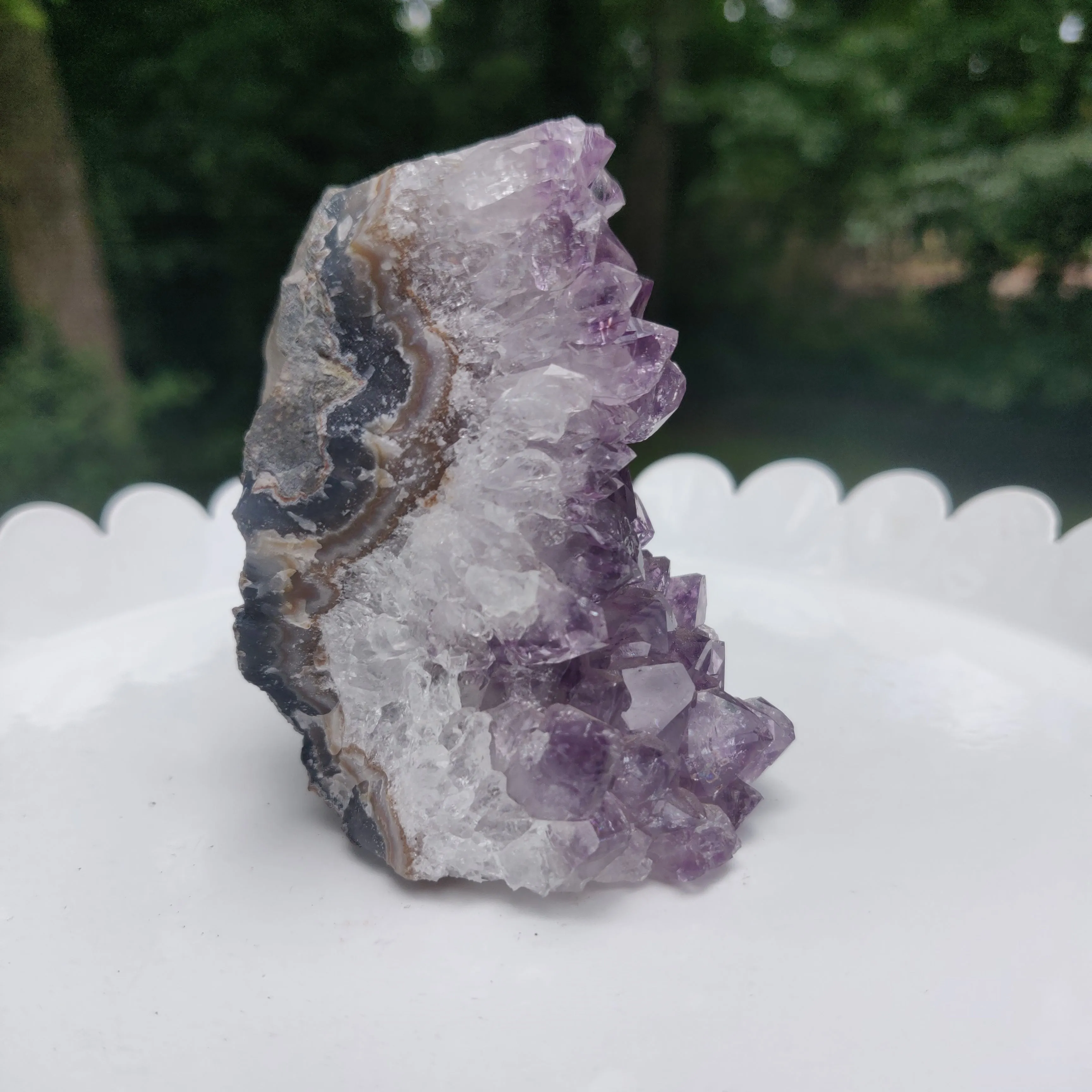 Amethyst Geode Free Form, Cut Base (#17)