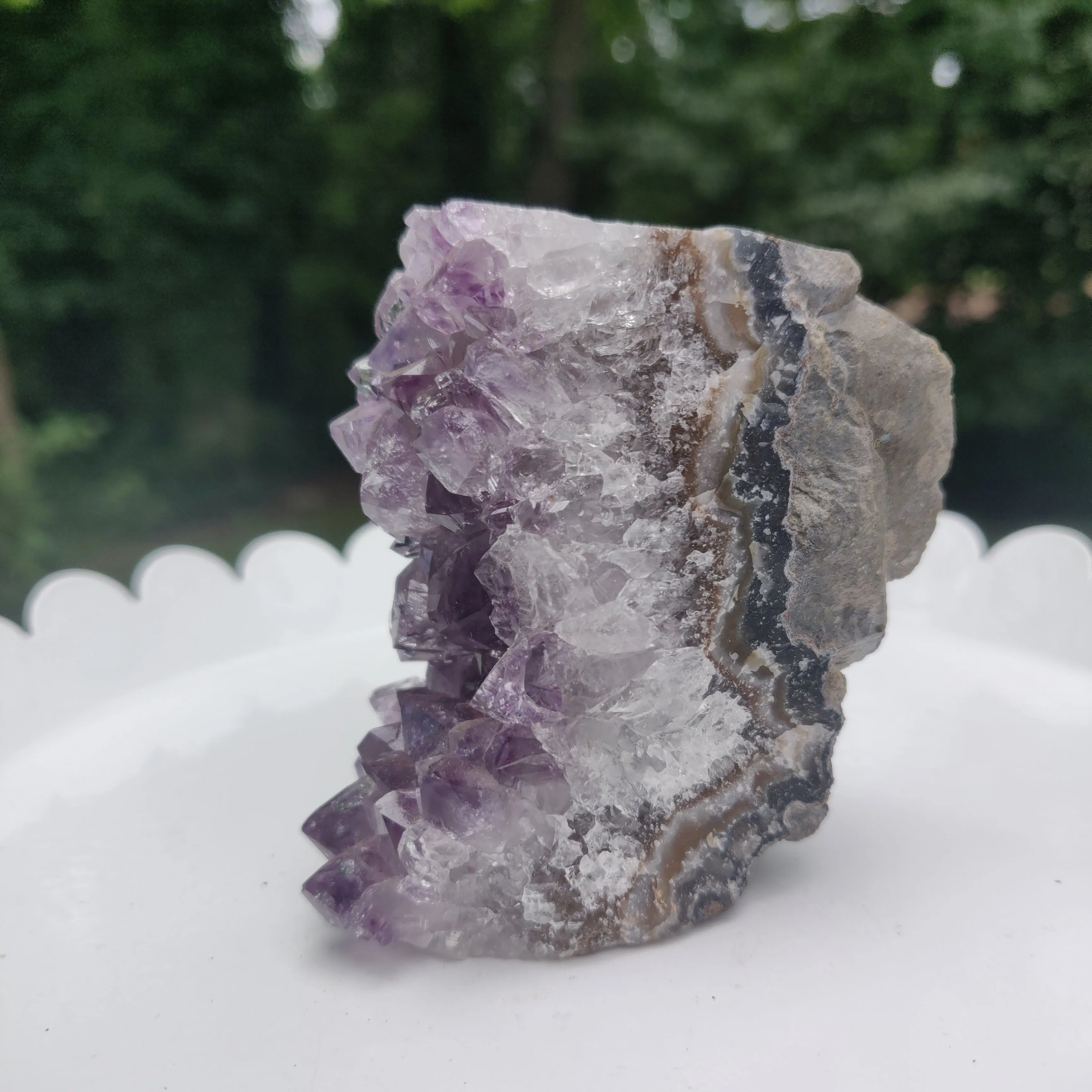 Amethyst Geode Free Form, Cut Base (#17)