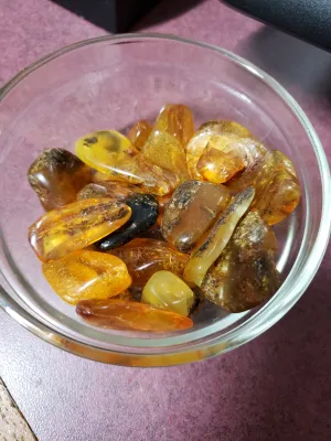 Baltic Amber - Tumbled and Raw