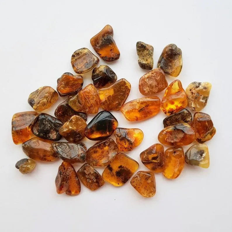 Baltic Amber - Tumbled and Raw