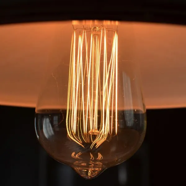 Edison Bulb - 60 Watt - 5.5 In. Length - Squirrel Cage Filament - Amber