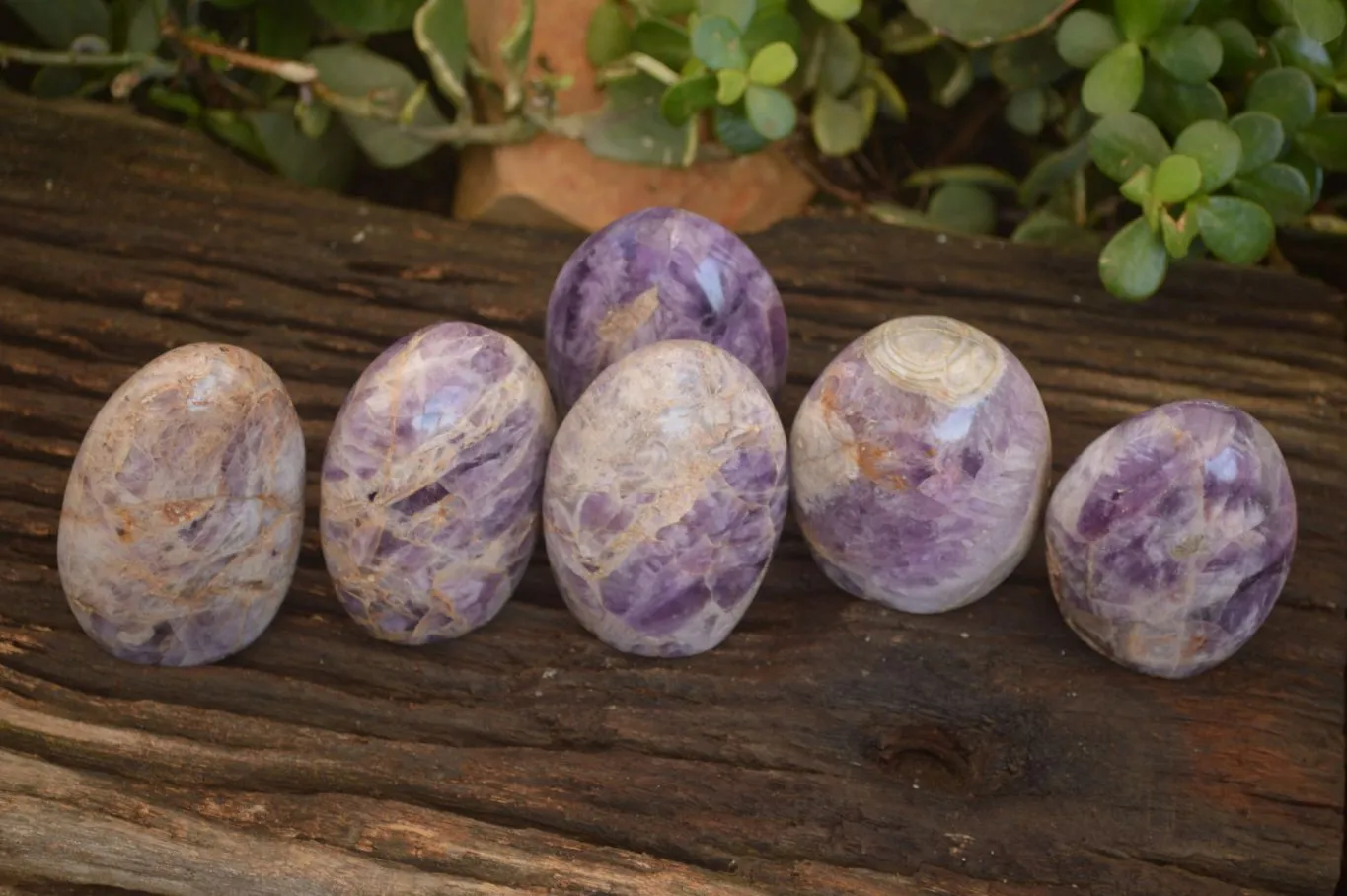 Polished  Dream Amethyst Standing Free Forms x 6 From Madagascar