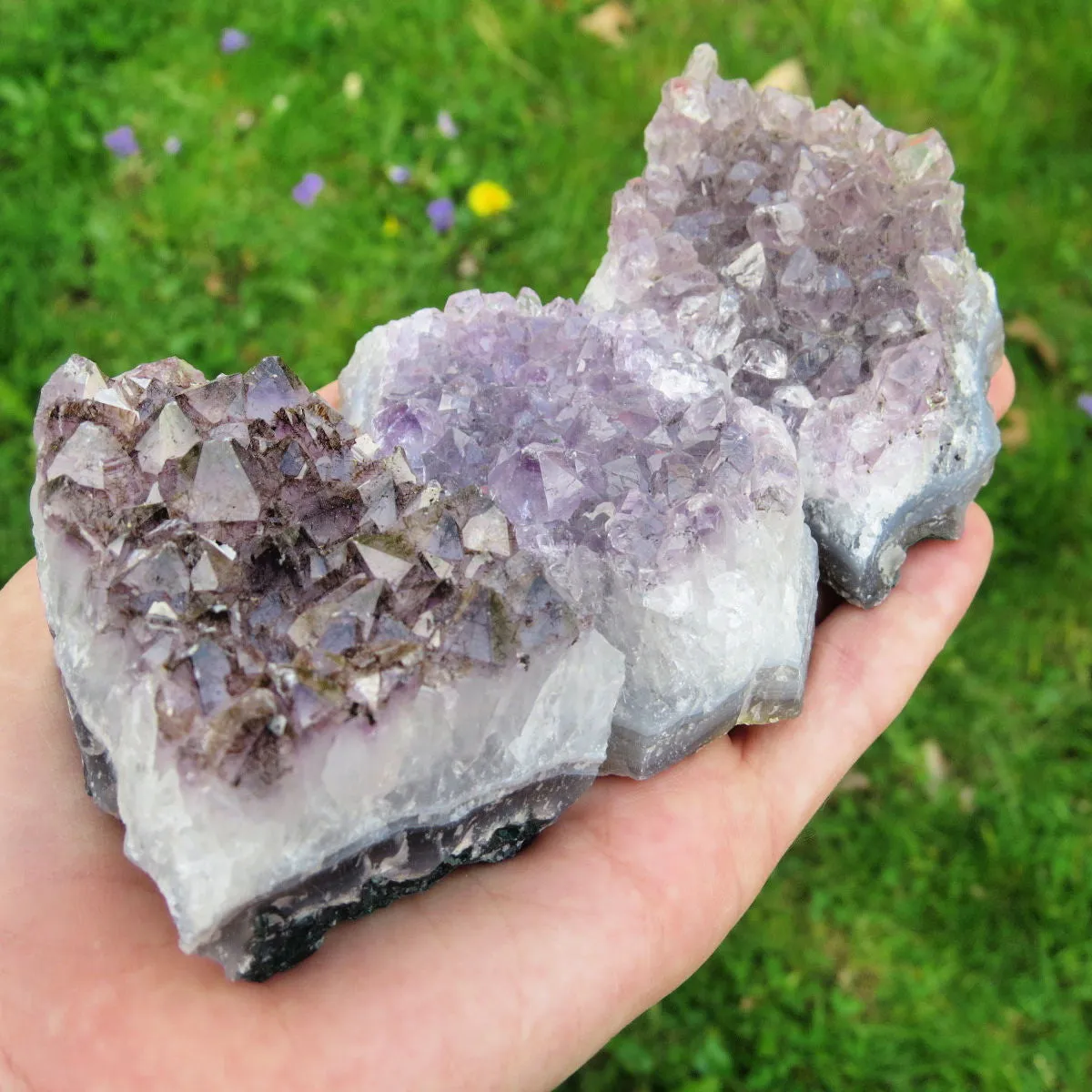 Raw Amethyst Cluster | Large 2.5" Amethyst Crystal