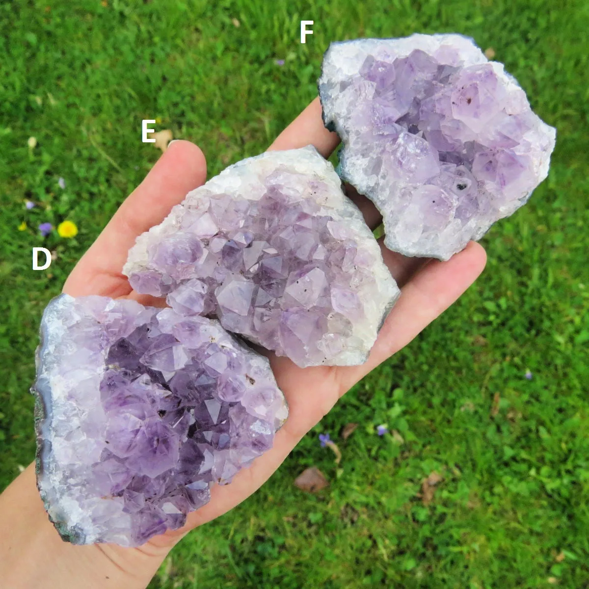 Raw Amethyst Cluster | Large 2.5" Amethyst Crystal