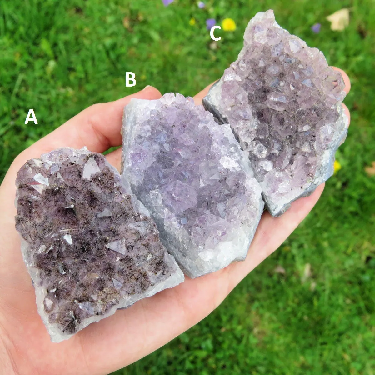 Raw Amethyst Cluster | Large 2.5" Amethyst Crystal