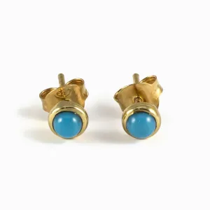 Sleeping Beauty Turquoise Stud Earrings